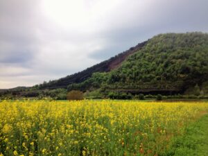 Volcans de la Garrotxa al Parc Natural de la Zona Volcànica - Volca Croscat