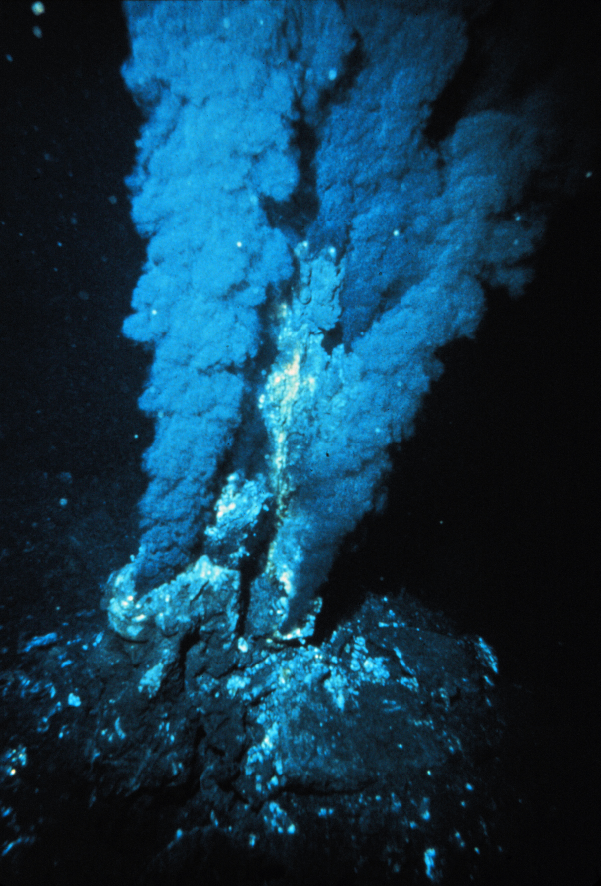 Black smoker, font hidrotermal submarina