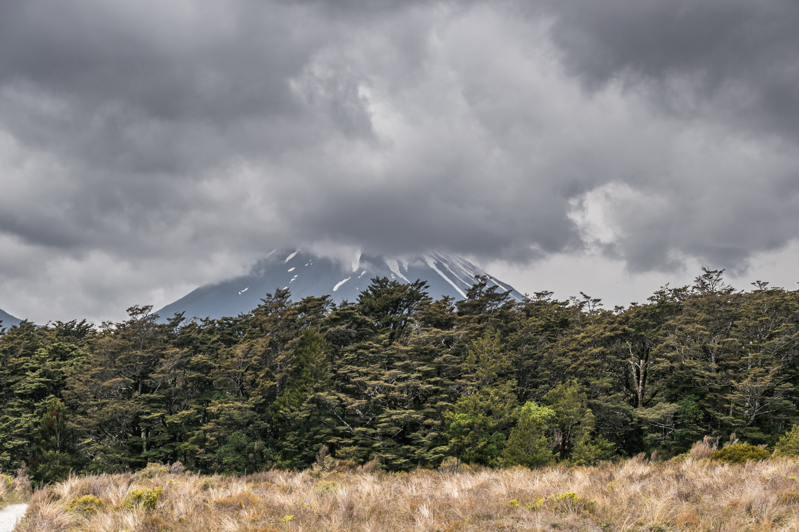 Els volcans de Nova Zelanda: Tongariro, Ruapehu i l’Al - Landscape in Tongariro National Park 05.jpg