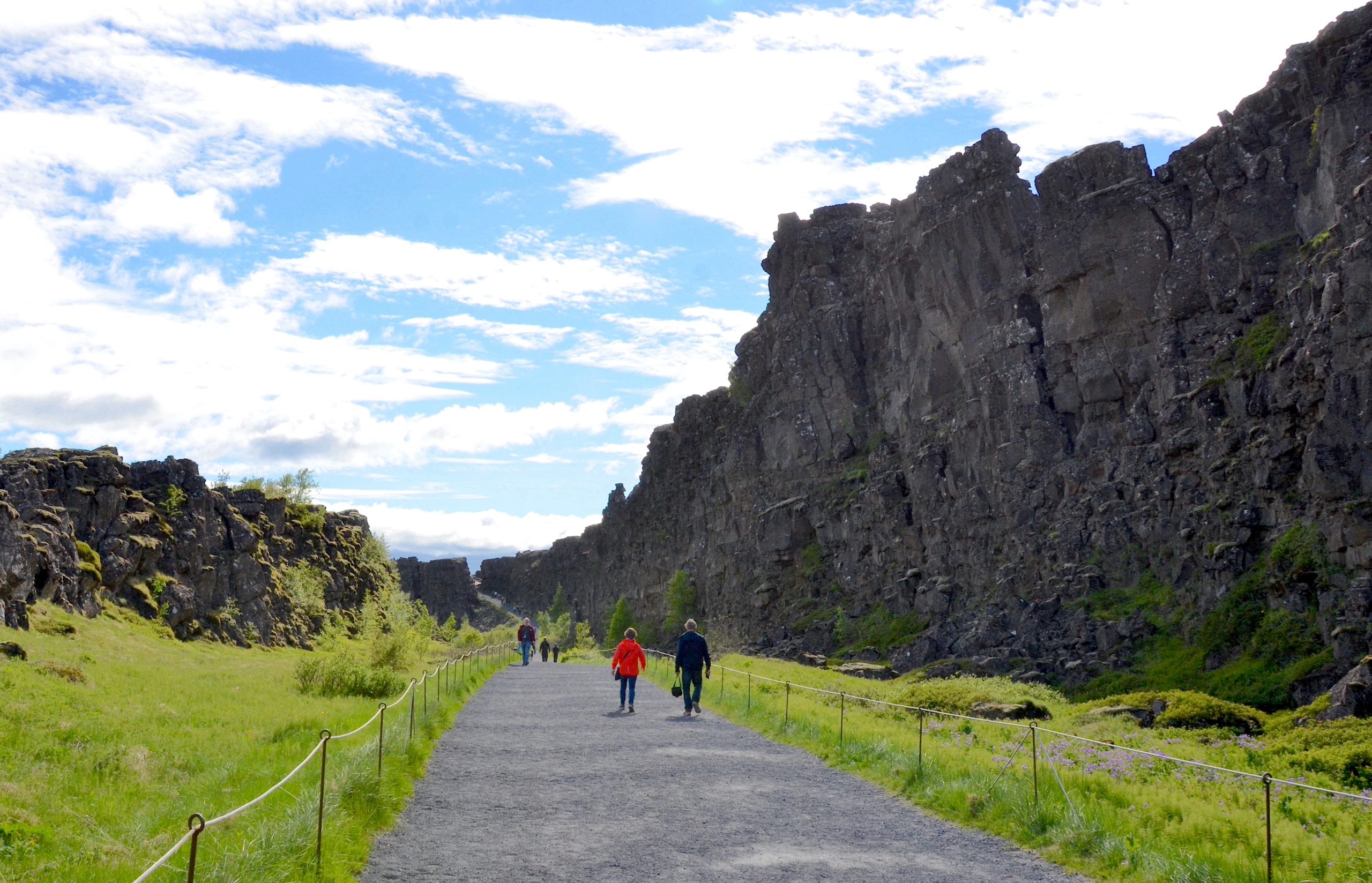 Rift a Þingvellir