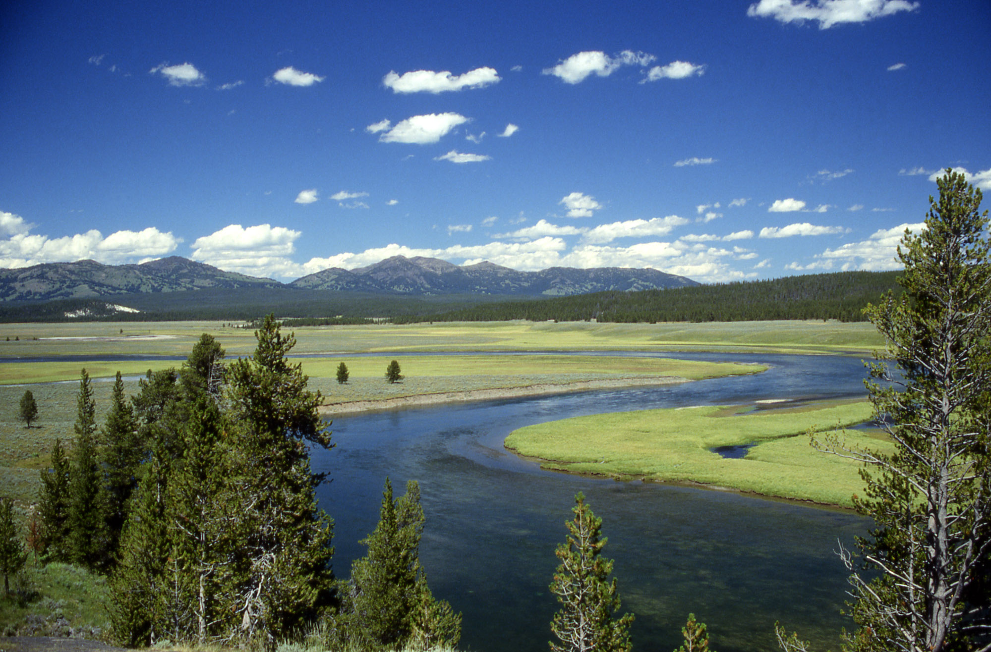 Yellowstone River a Hayden Valley